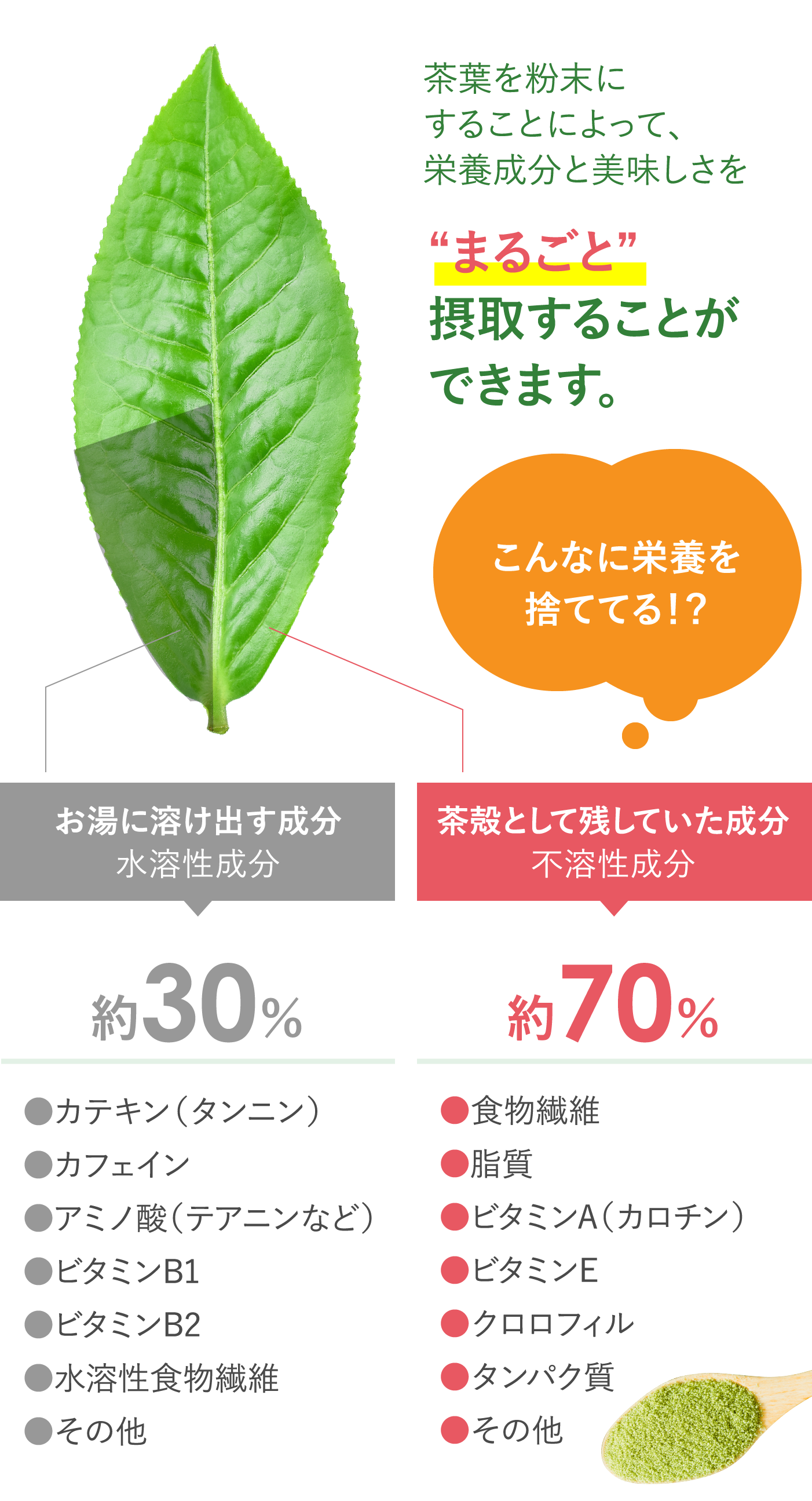 近江の茶 まるごと食べまっ茶